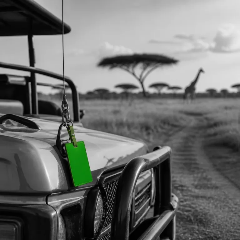 Safari au Kenya : qui réserve réellement votre voyage et pourquoi ça change tout