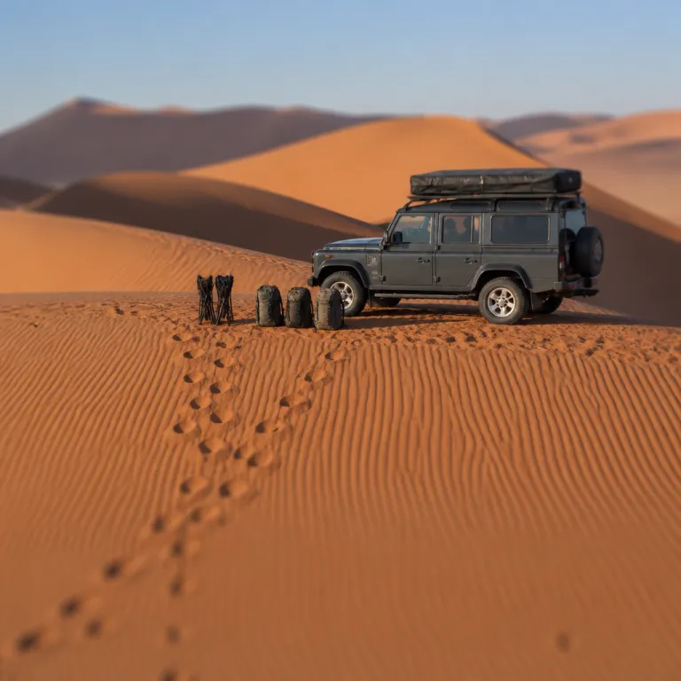 Un safari en Namibie en famille avec une agence de voyage experte
